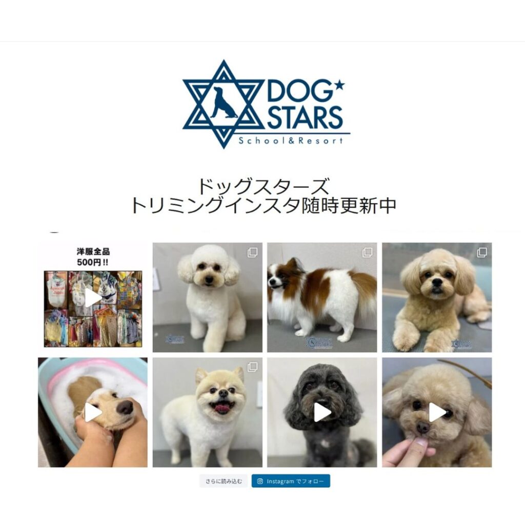 ドッグスターズ様　トリミングLP制作(WP化)